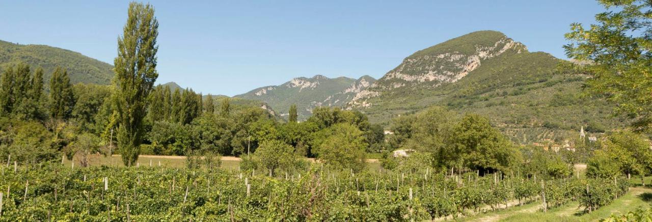 Agriturismo I Melograni Ferentillo Exterior photo